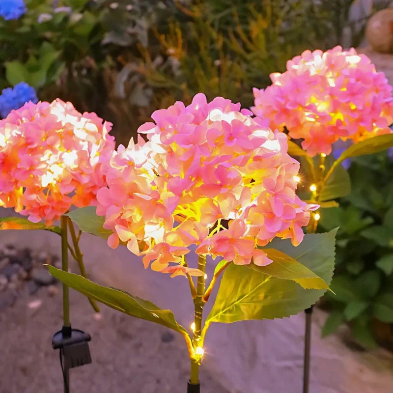Maliben | Everbloom Solar Flower Lights