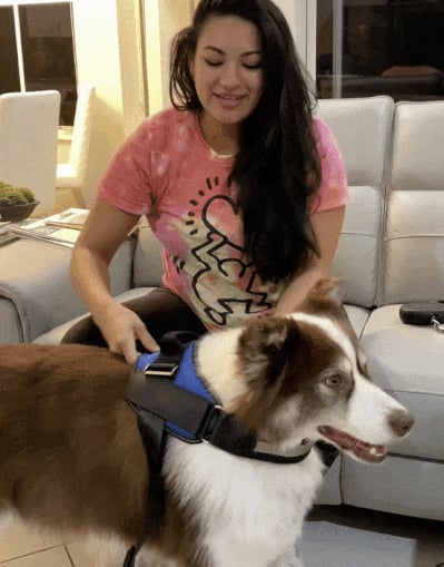 Maliben | Anti Choke Dog Harness