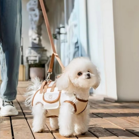 Maliben | Multi-Function Pet Harness and Carrier Backpack for Small Dogs and Cats