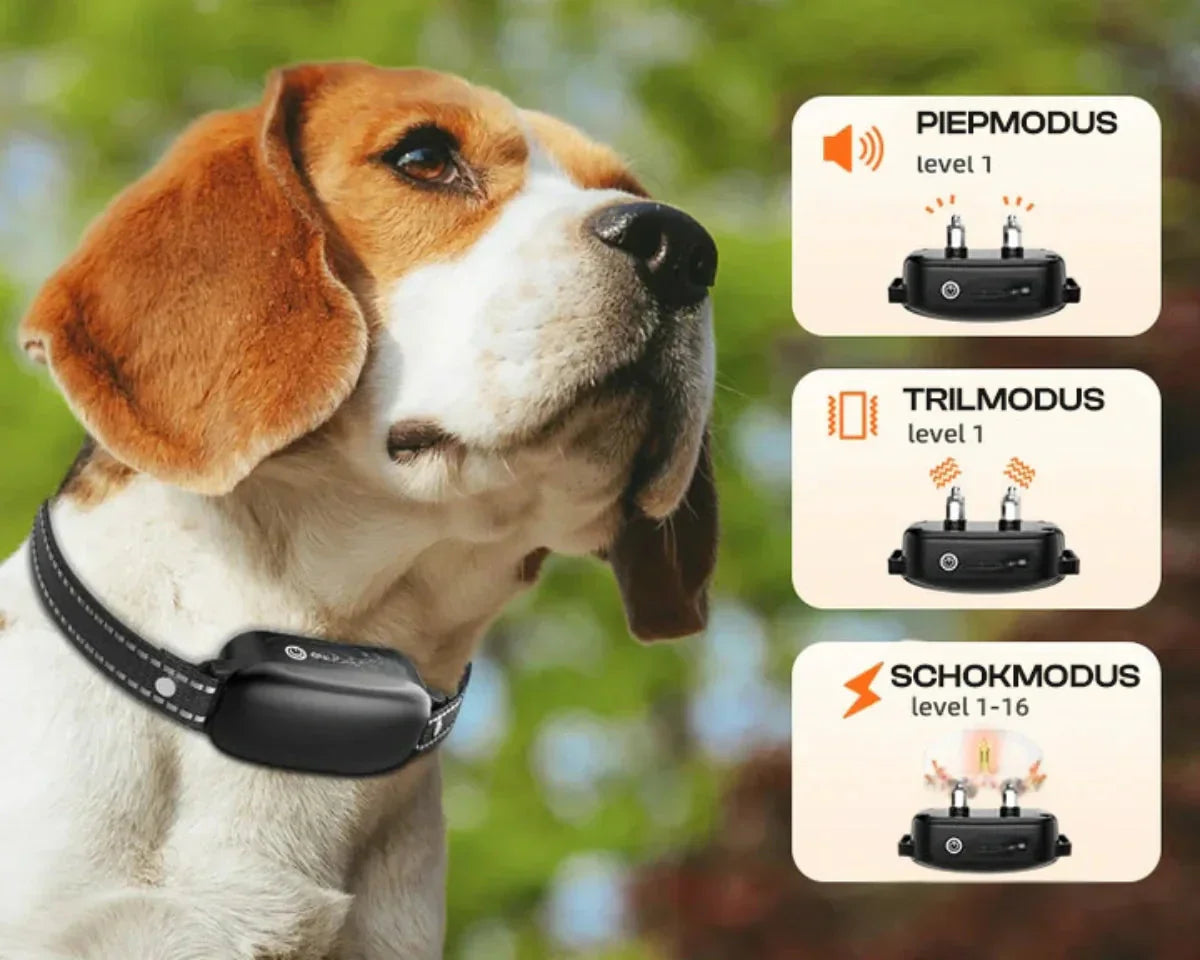 Maliben | Dog Coach Pro Training Collar – Waterproof Electronic Collar with Remote Control
