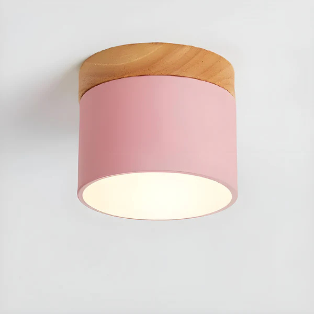 Maliben | Vintage Led Ceiling Lamp