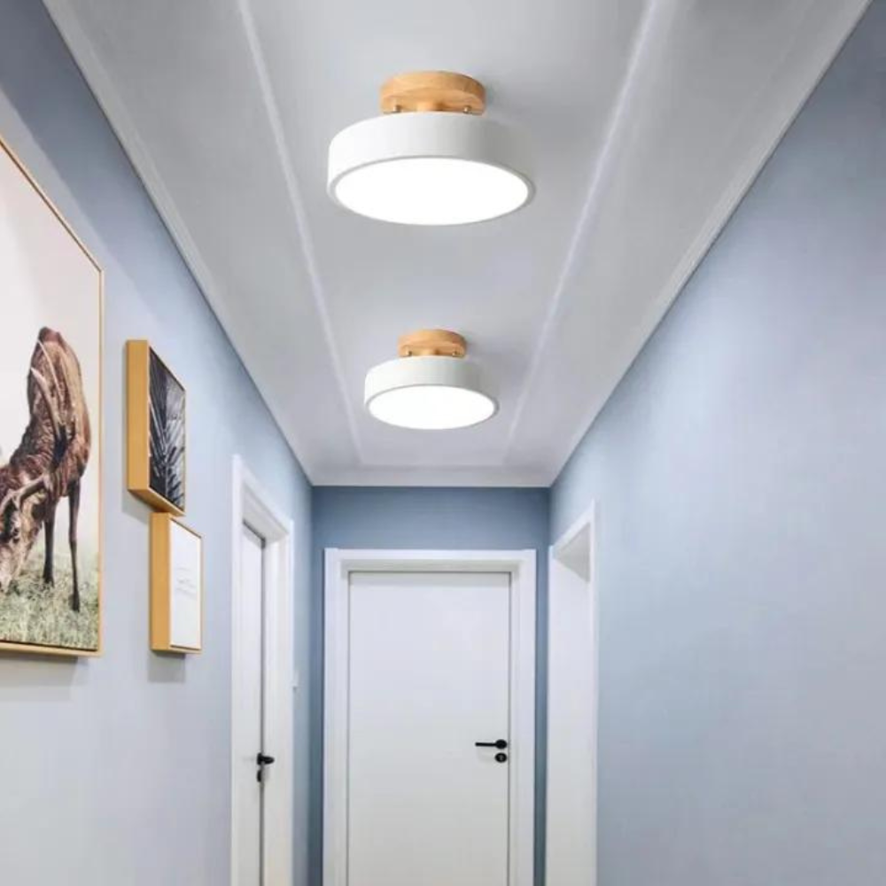 Maliben | Compact Modern Led Ceiling Lamp