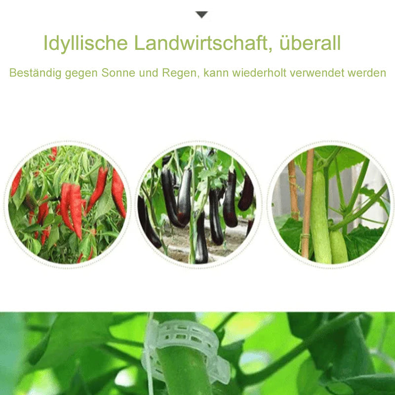 Maliben | Practical Plant Support Clip