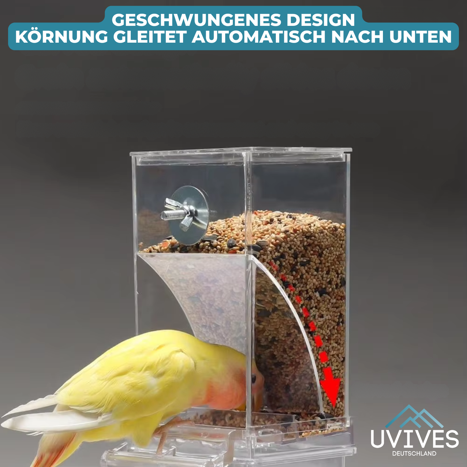 Maliben | Birdfeed – Clean Feeding, Satisfied Birds, Less Effort