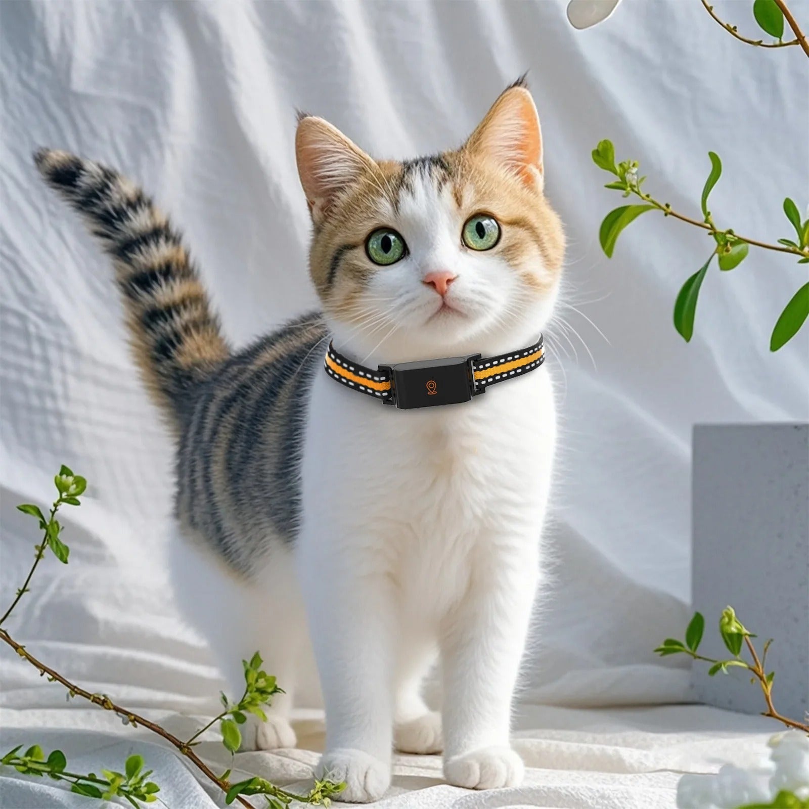 Maliben | GPS Dog and Cat Collar – Unlimited Range Real-Time Tracker