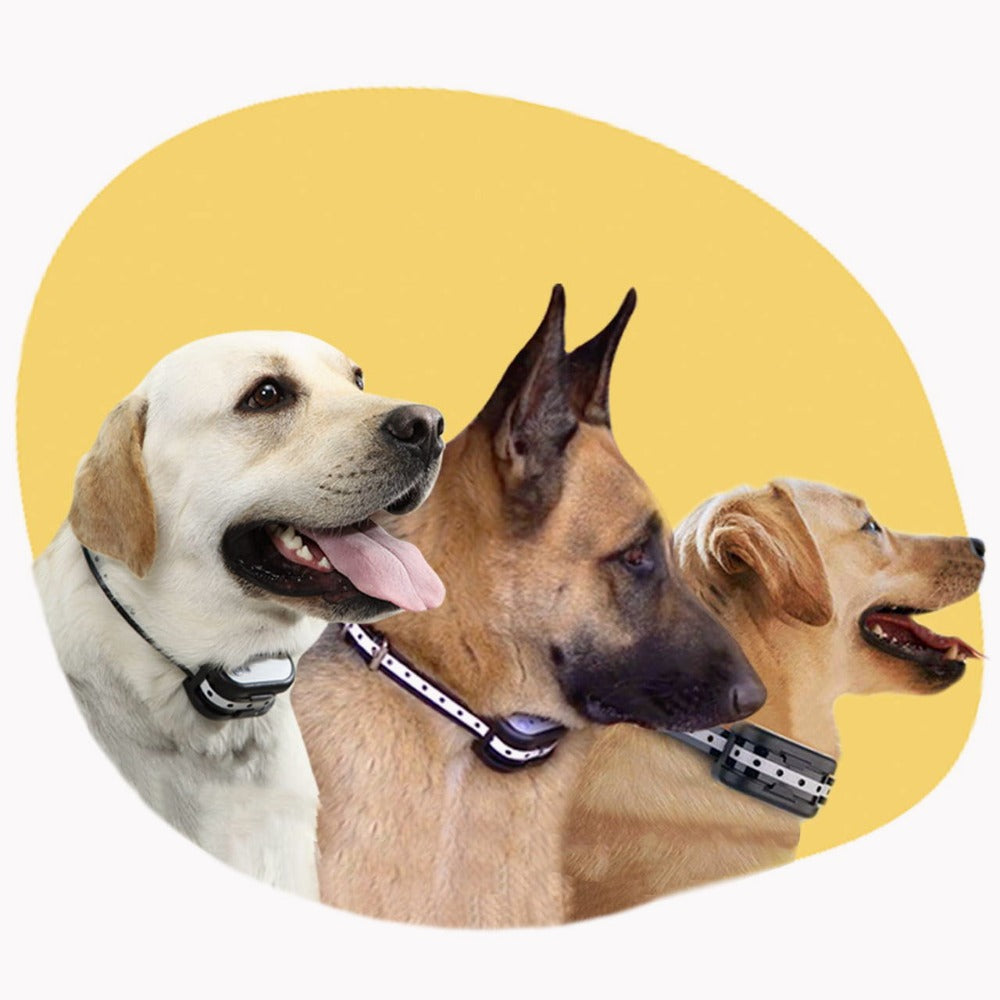 Maliben SafeZone Wireless Dog Fence & Training Collar – Rechargeable, Waterproof &...