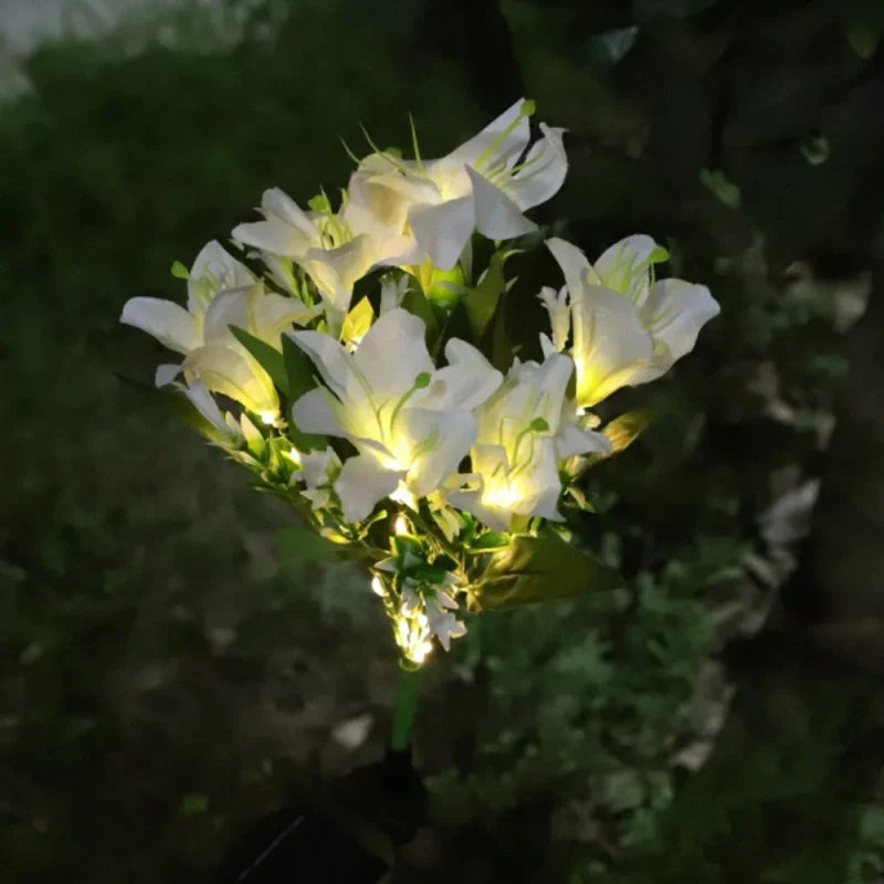 Maliben | Everbloom Solar Flower Lights