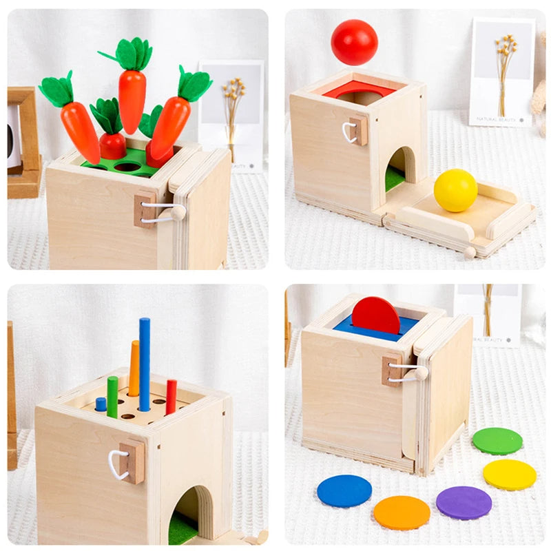 Maliben | Montessori Wooden Play Box: Tasks & Solutions Set