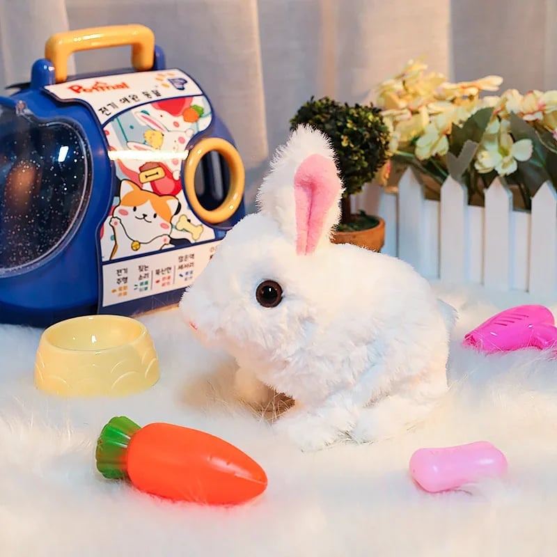 Maliben | 🐇Bunby - My Bunny Toy