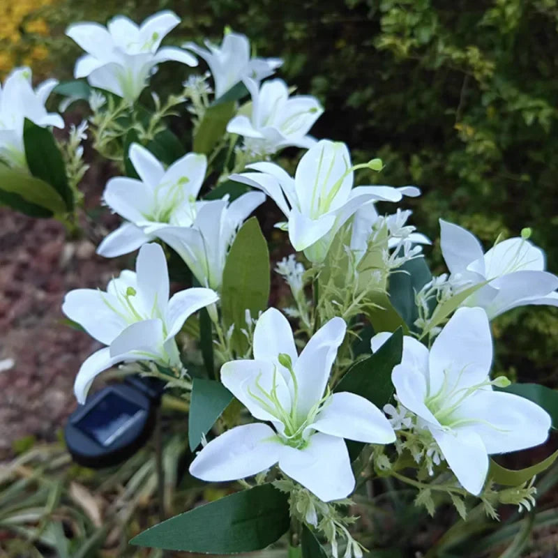 Maliben | Everbloom Solar Flower Lights