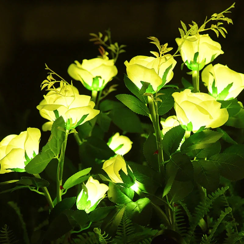 Maliben | Everbloom Solar Flower Lights
