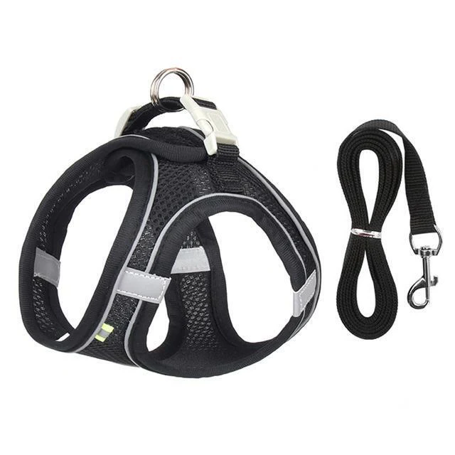 Maliben | Adjustable Harness and Leash Set for Small Dogs and Cats