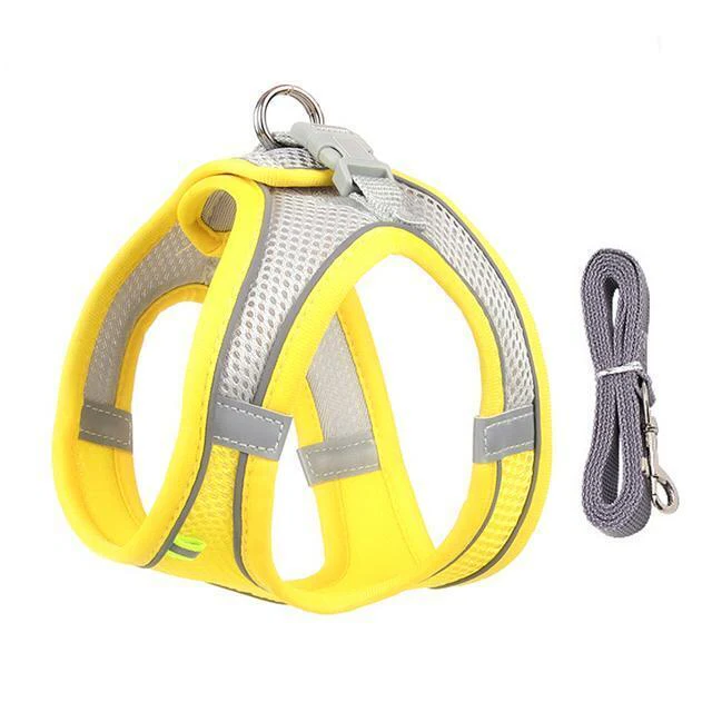 Maliben | Adjustable Harness and Leash Set for Small Dogs and Cats