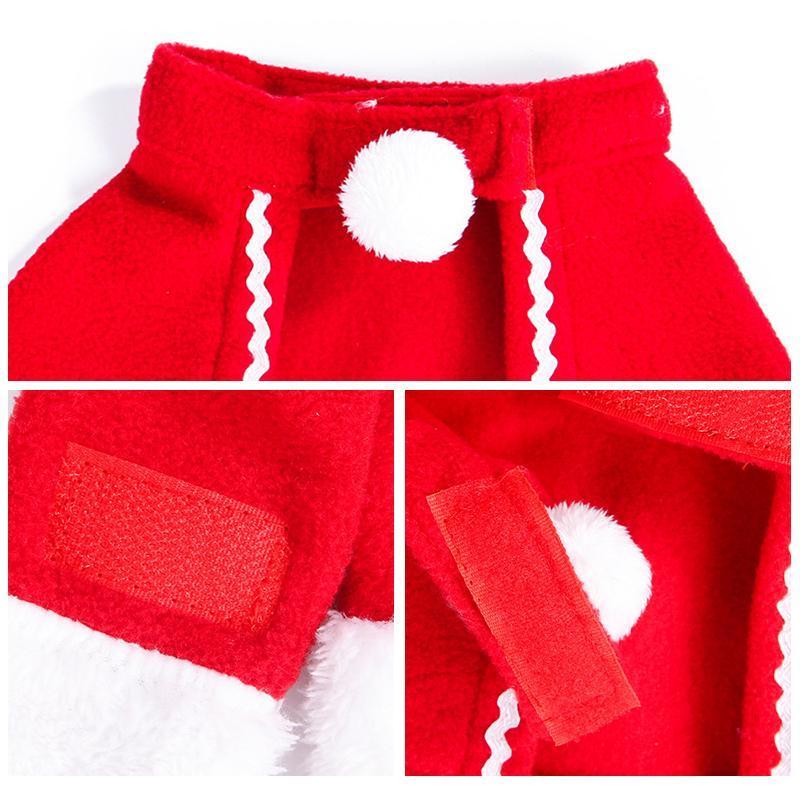 Maliben | Festivapaws – Warm Festive Pet Outfits That Attract Attention