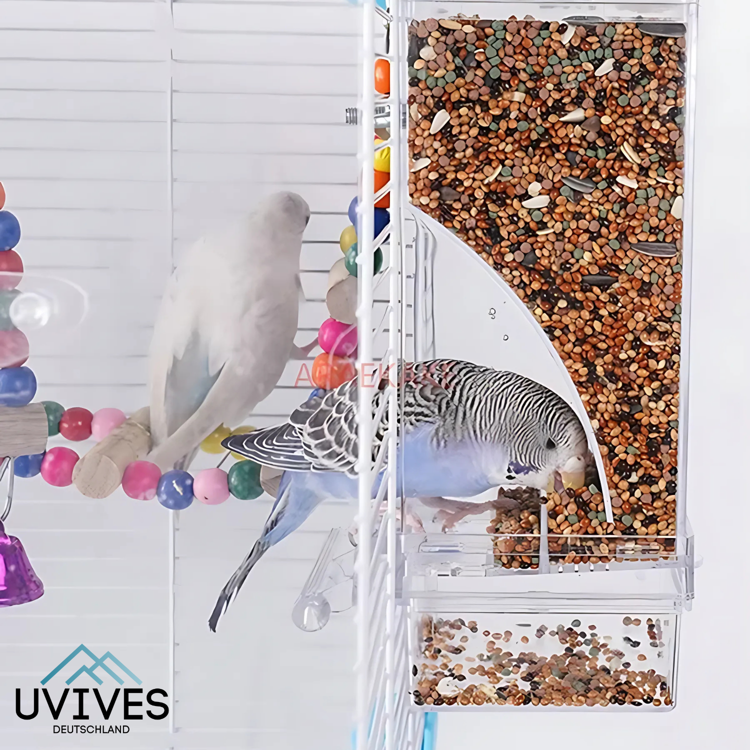 Maliben | Birdfeed – Clean Feeding, Satisfied Birds, Less Effort