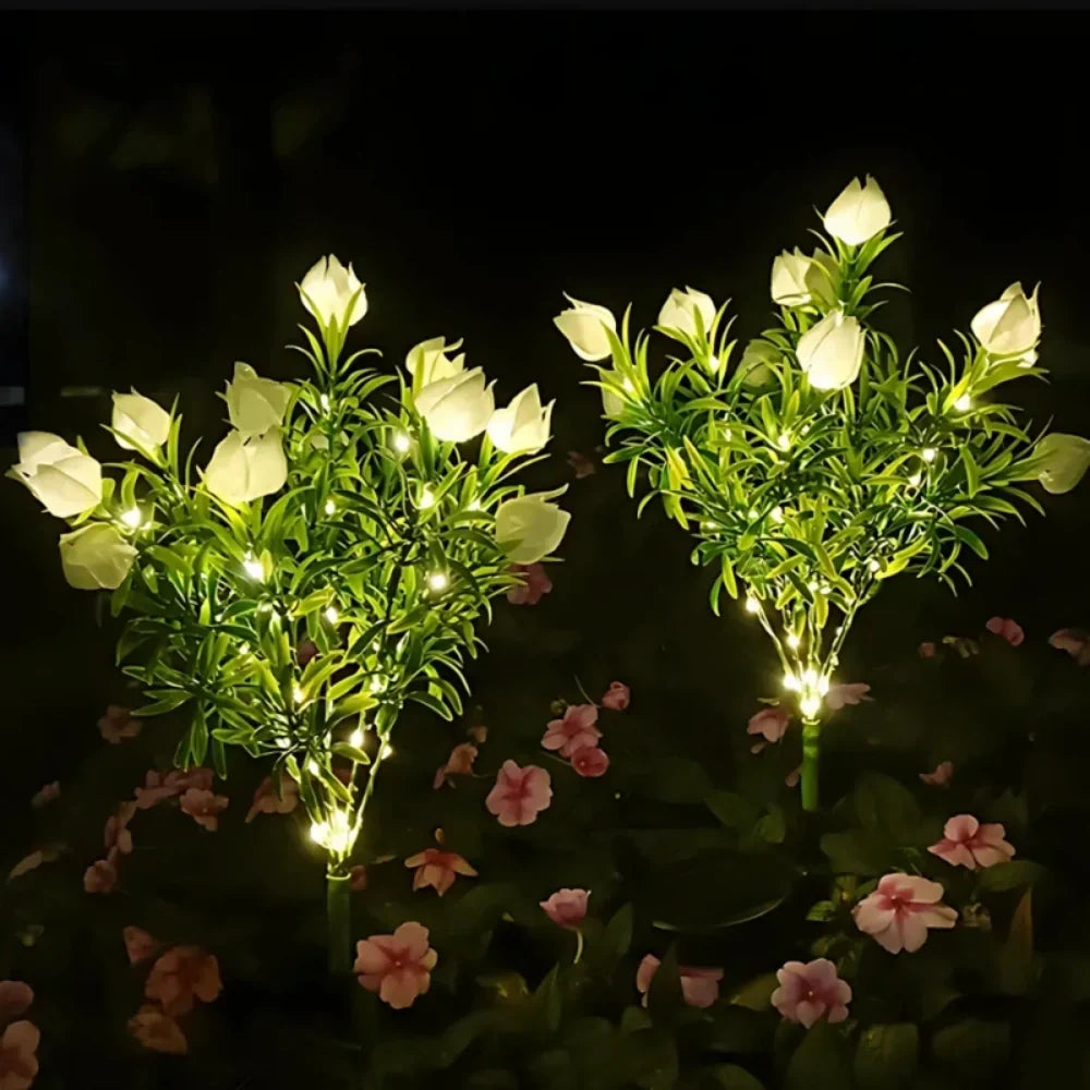 Maliben | Everbloom Solar Flower Lights
