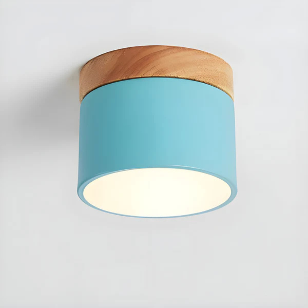 Maliben | Vintage Led Ceiling Lamp