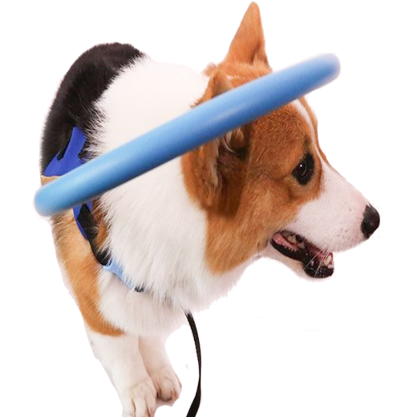 Maliben | Bumper Collar Guide For Blind Dogs Harness