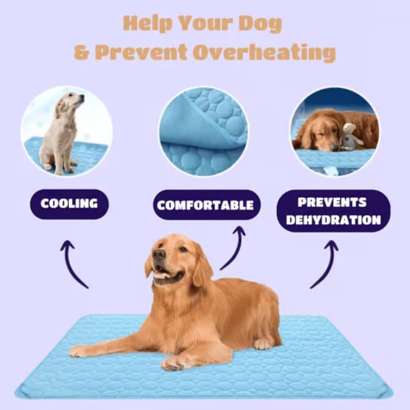Maliben | Cooling Mat for Dogs (4x More Effective)