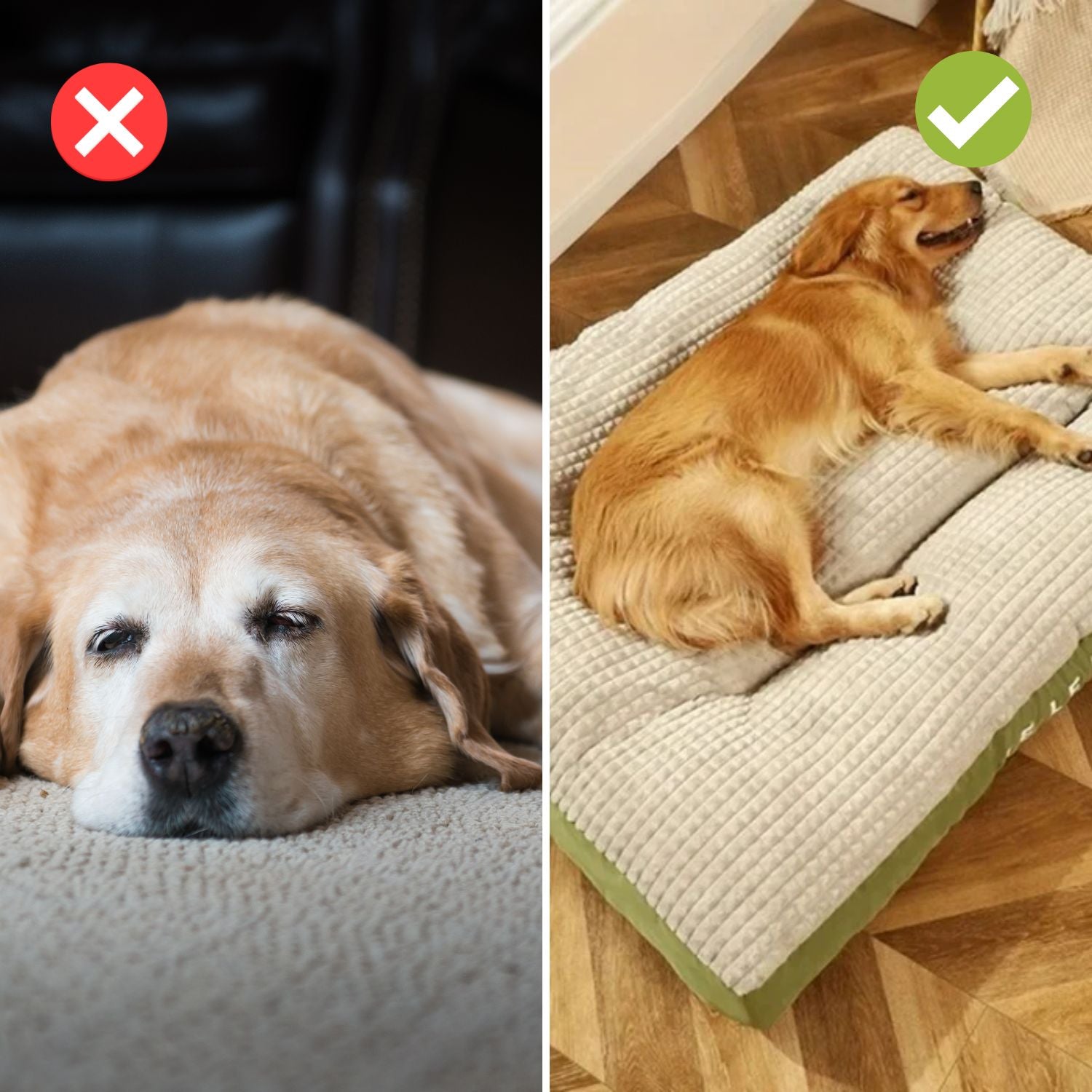 Maliben | Snoozepaw Luxury Dog Bed – Robust Foam, Removable Covers And Optimal Support