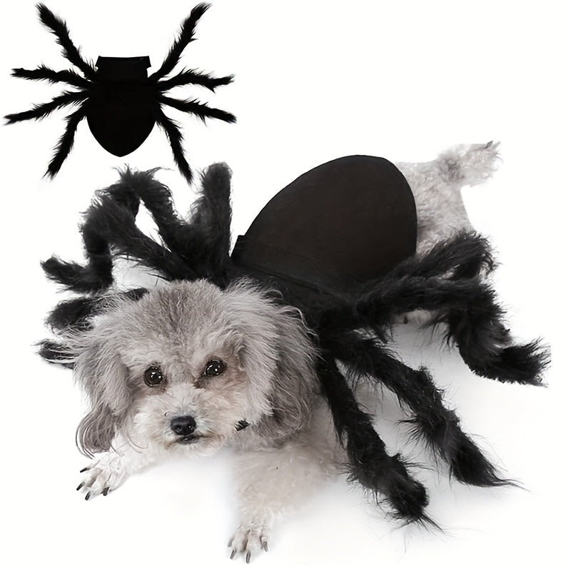 Maliben | Funny Furry Dog Halloween Costume | Spider Design
