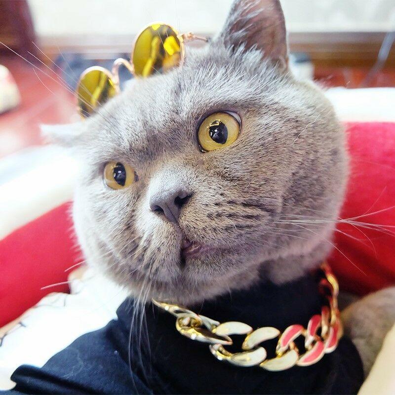 Maliben Thick golden chain pet safety collar