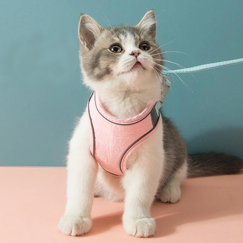Maliben | Cat Vest Harness and Leash Set