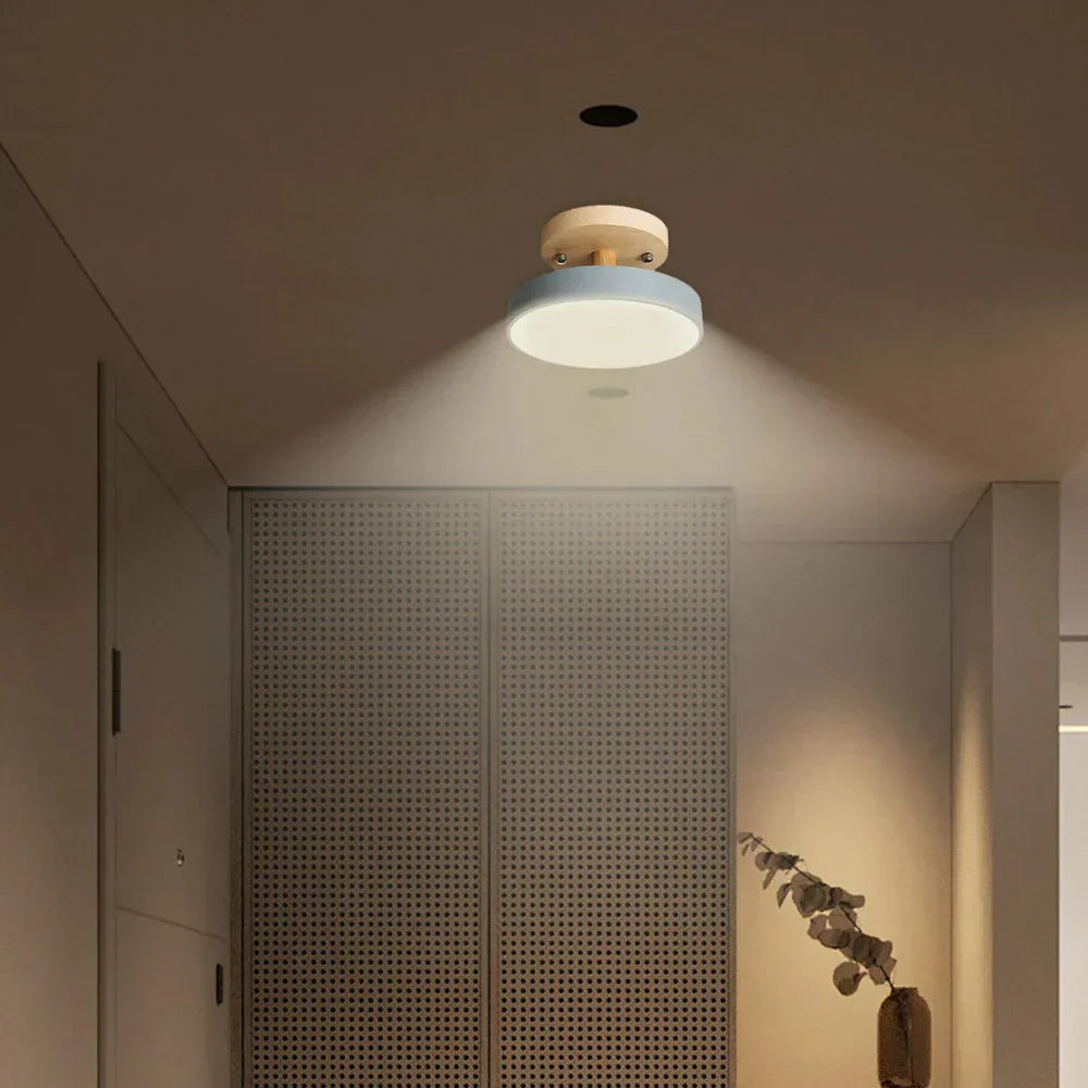 Maliben | Compact Modern Led Ceiling Lamp