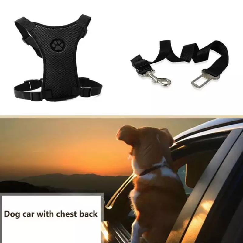 Maliben | Dog Safety Harness Set