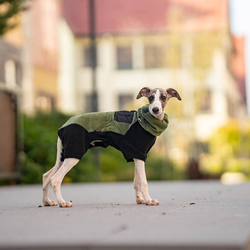 Maliben | Full Protection Polar Fleece Dog Overall with Removable Collar