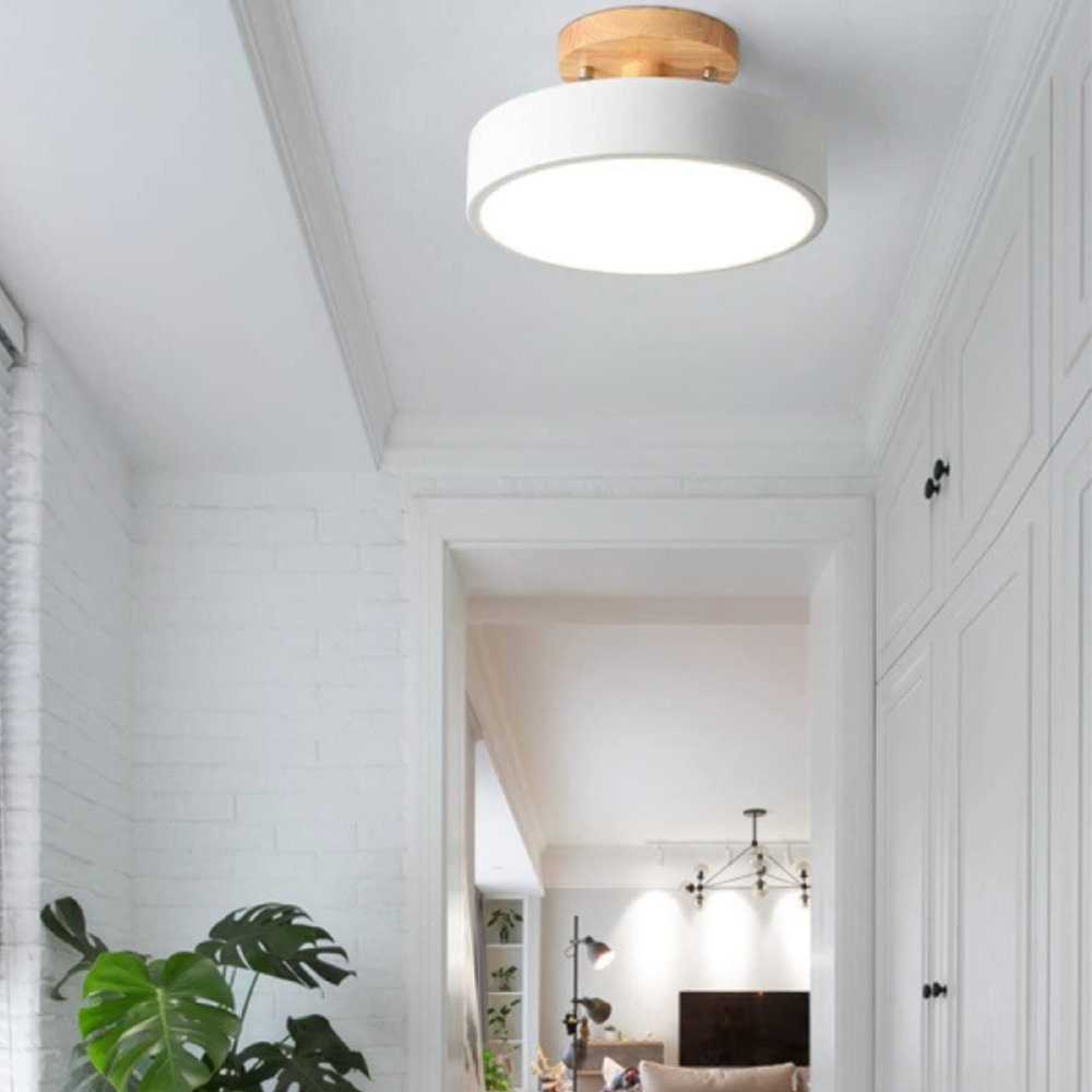 Maliben | Compact Modern Led Ceiling Lamp