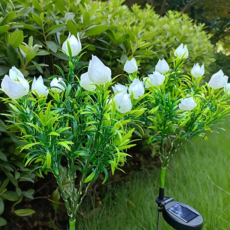 Maliben | Everbloom Solar Flower Lights