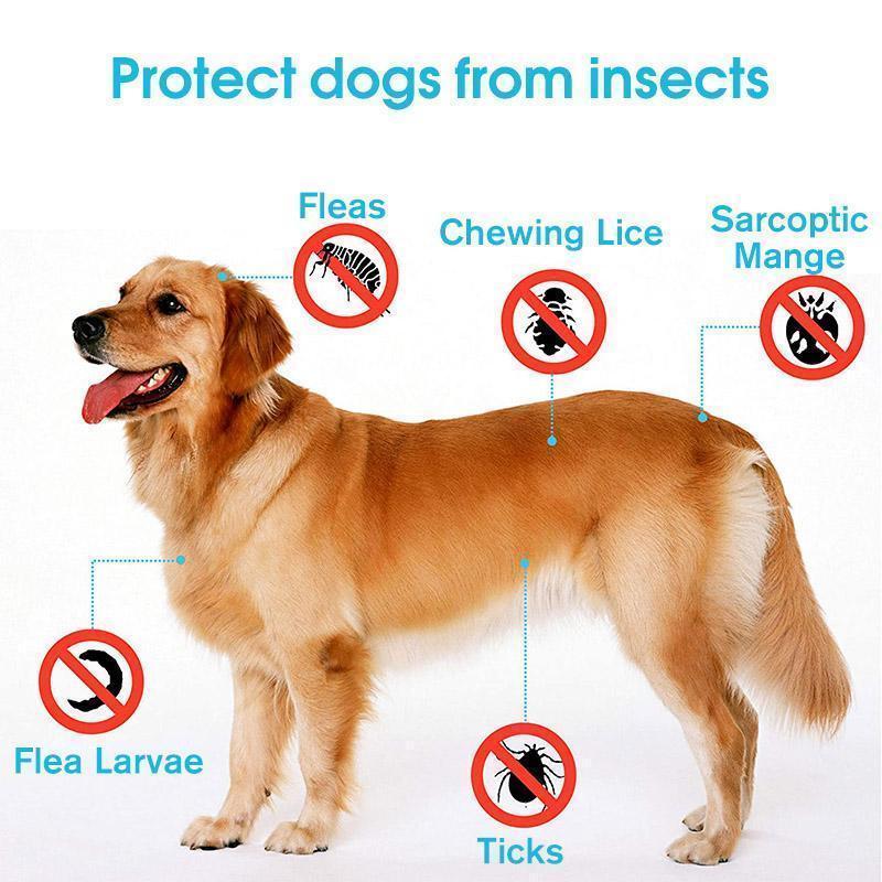 Maliben | Adjustable Insect Defense Collar for Pets