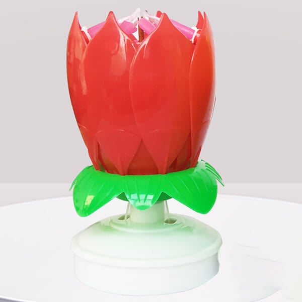 Maliben | 🎂Magic Flower Birthday Candle