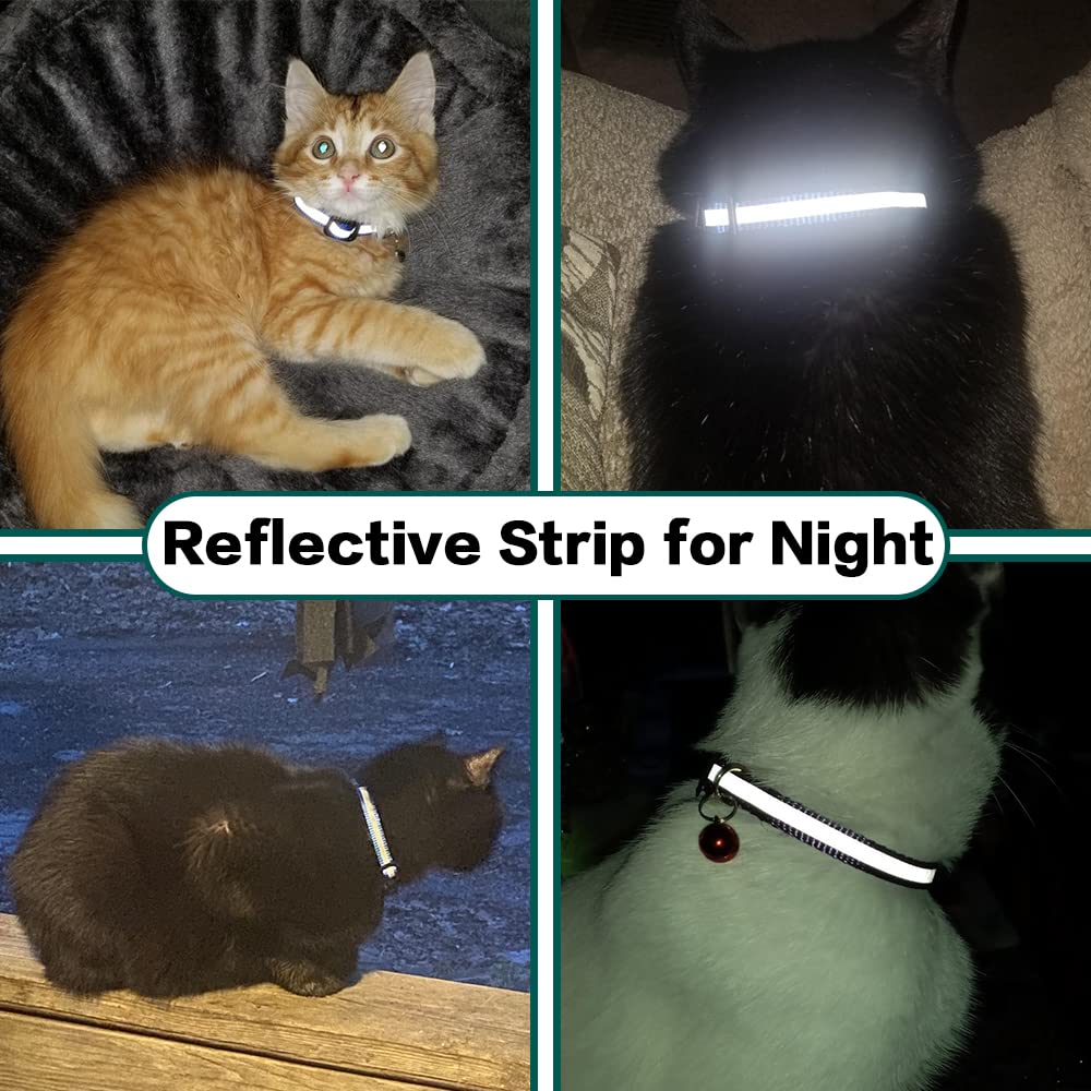 Maliben Stay Connected: pet locator collar