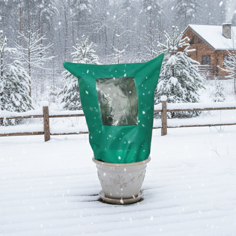 Maliben | Cozyplant – Protect Your Plants From Winter Cold And Help Them Thrive