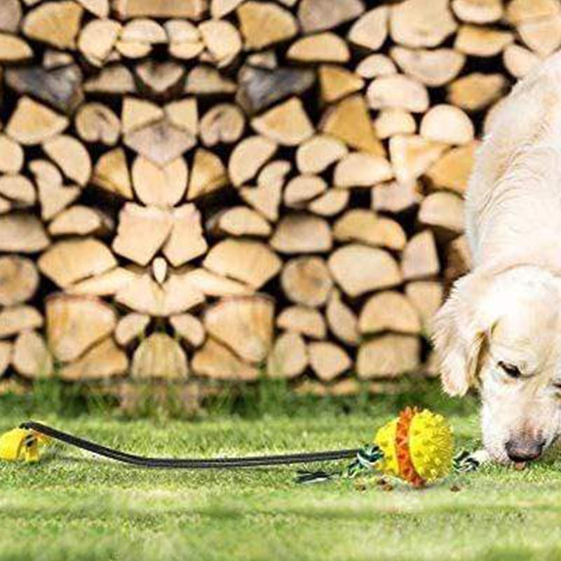 Maliben | Ropeball | Infinite Joy For Your Pets