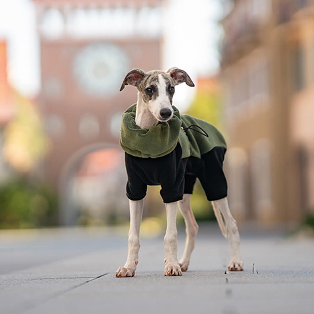 Maliben | Full Protection Polar Fleece Dog Overall with Removable Collar