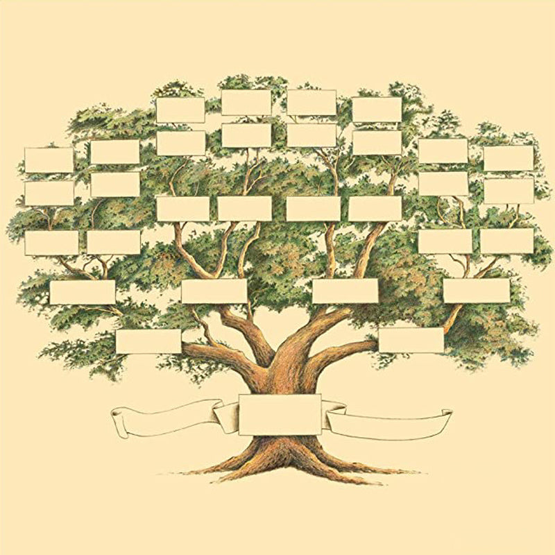 Maliben | Family History Family Tree Canvas