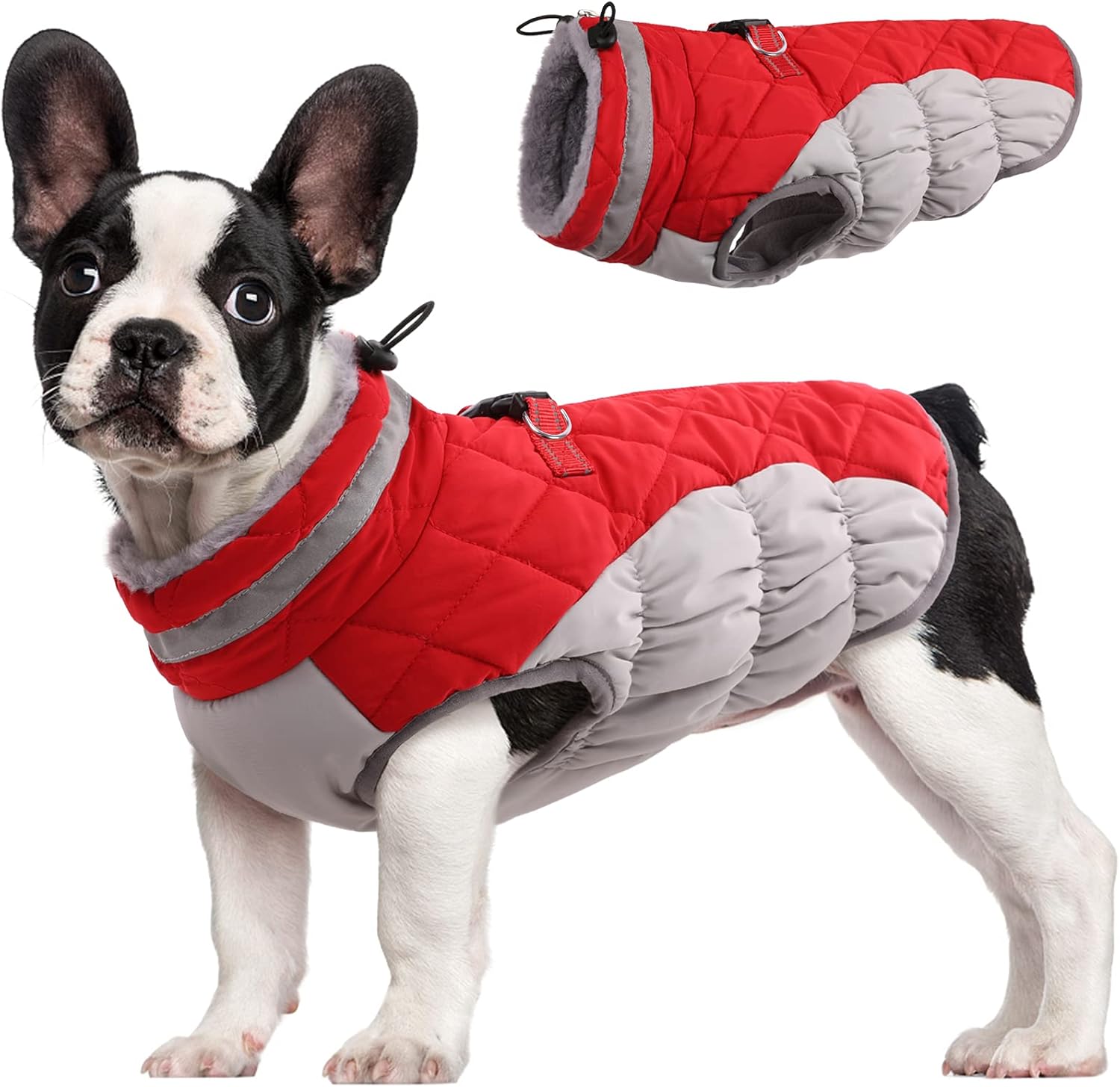 Maliben SafeWalk Winter Harness Jacket – Waterproof dog jacket with reflection and...