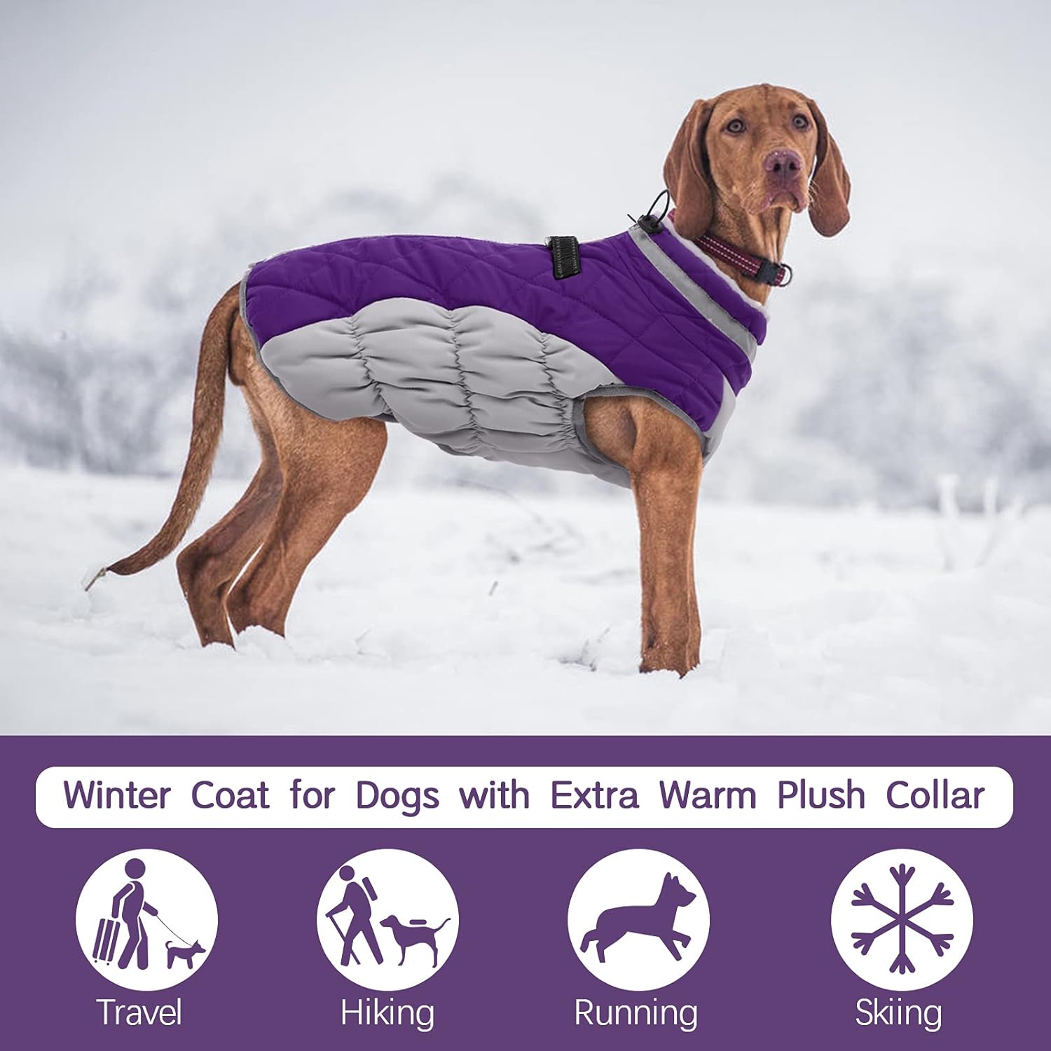 Maliben SafeWalk Winter Harness Jacket – Waterproof dog jacket with reflection and...