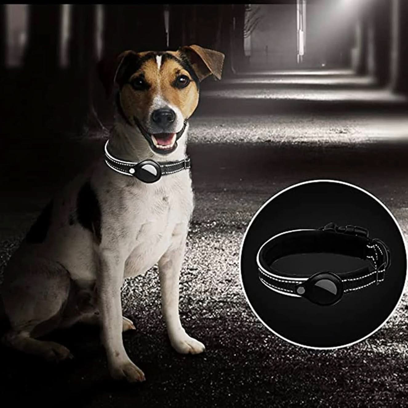 Maliben | LEAZO - AirTag Dog Collar