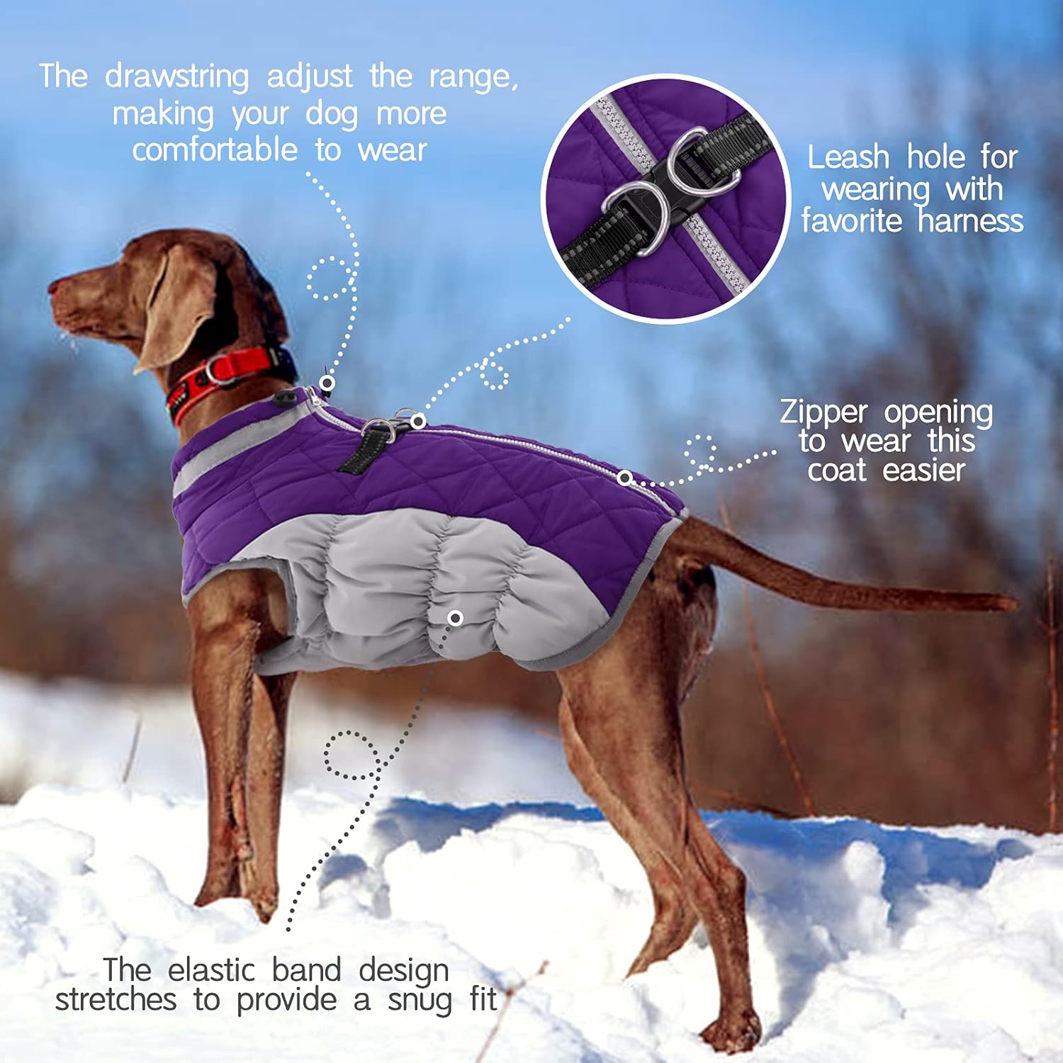 Maliben SafeWalk Winter Harness Jacket – Waterproof dog jacket with reflection and...