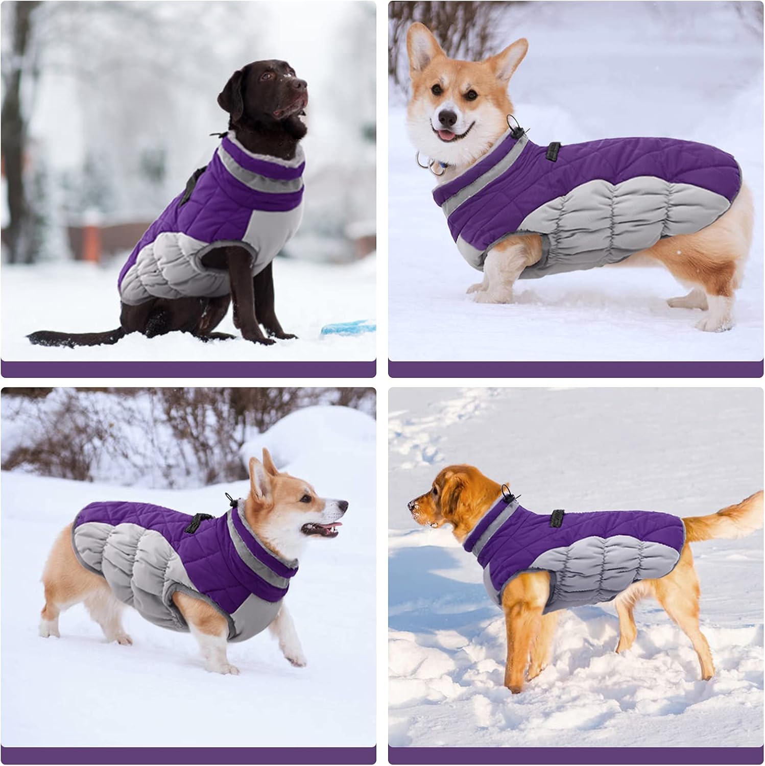 Maliben SafeWalk Winter Harness Jacket – Waterproof dog jacket with reflection and...