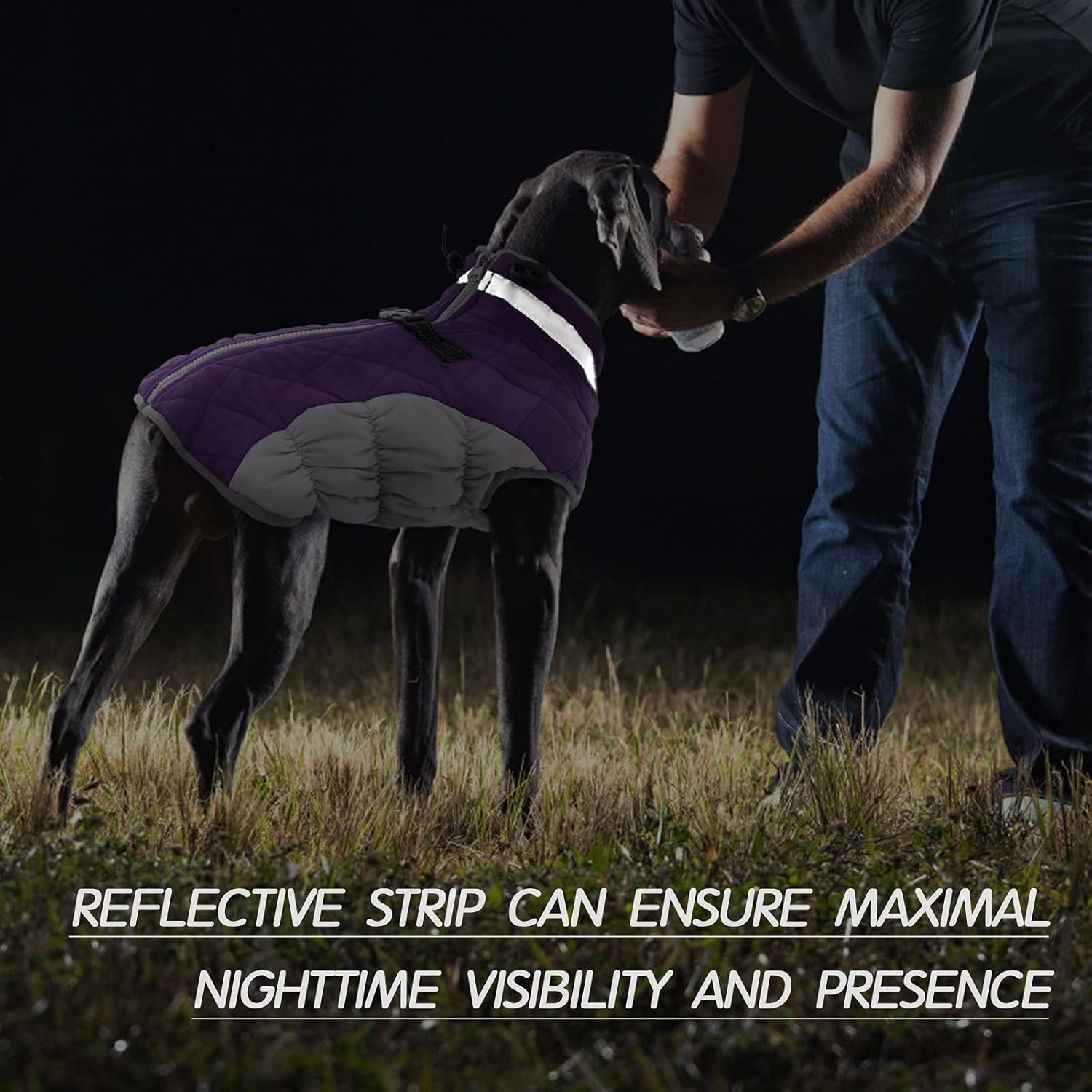 Maliben SafeWalk Winter Harness Jacket – Waterproof dog jacket with reflection and...
