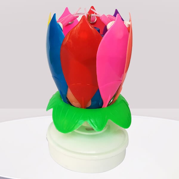Maliben | 🎂Magic Flower Birthday Candle