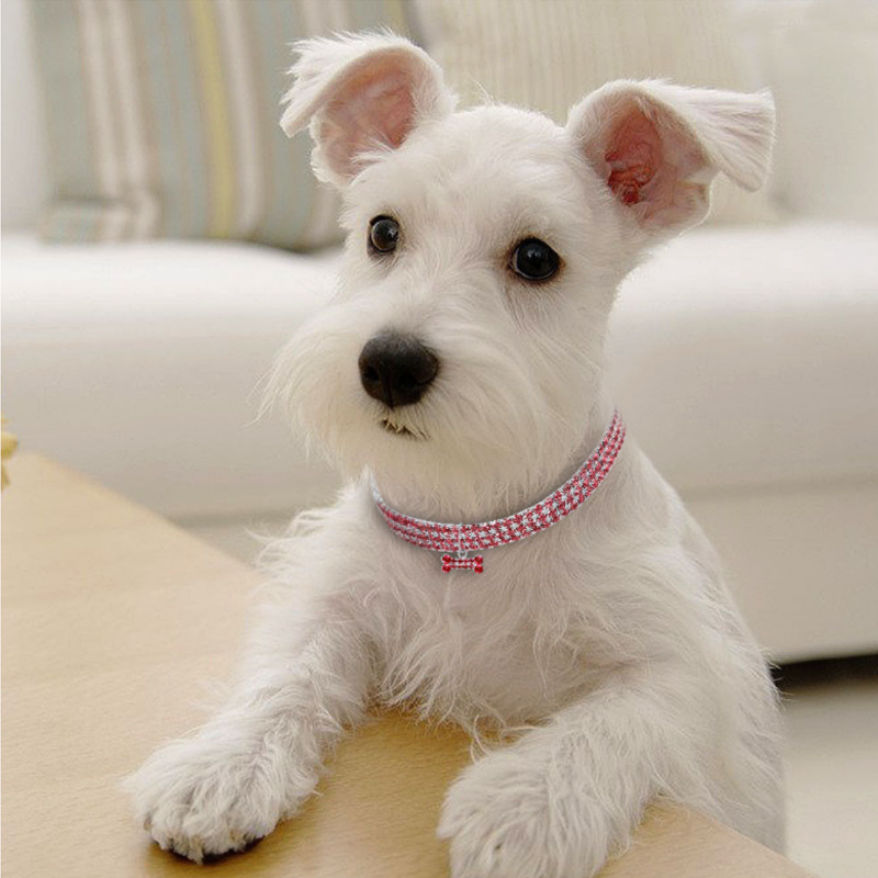 Maliben Sweet Crystal Dog Collar