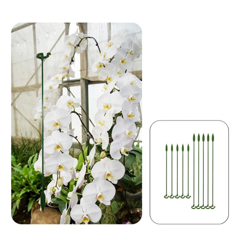 Maliben | Plant Support Stake (10 Pieces)