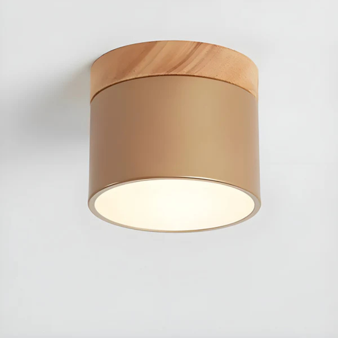 Maliben | Vintage Led Ceiling Lamp