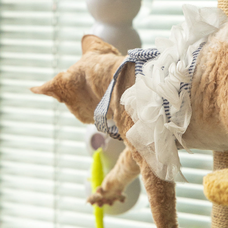 Maliben | Interactive Electric Cat Toy "Caterpillar"